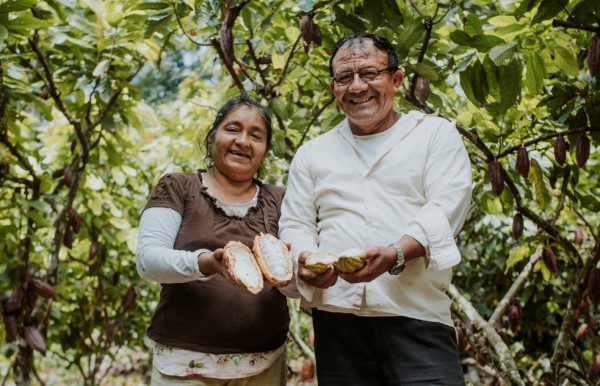 peru-kakao